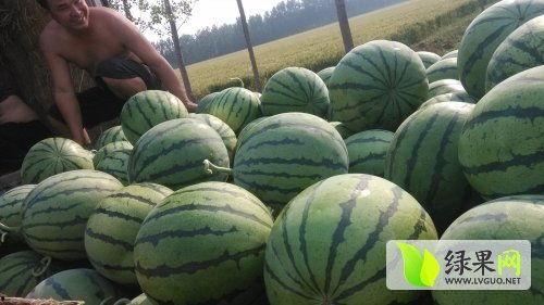 怀仁网红大瓜最新消息